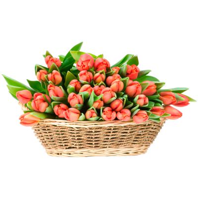 Корзинка с тюльпанами «Оранжевый восторг»
